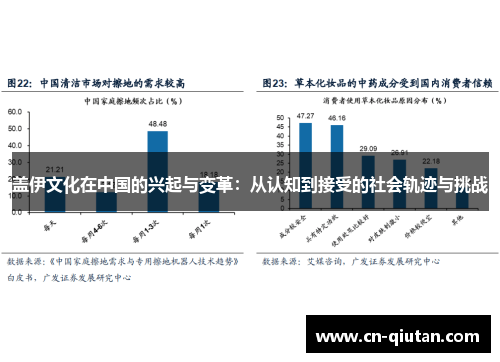 盖伊文化在中国的兴起与变革：从认知到接受的社会轨迹与挑战